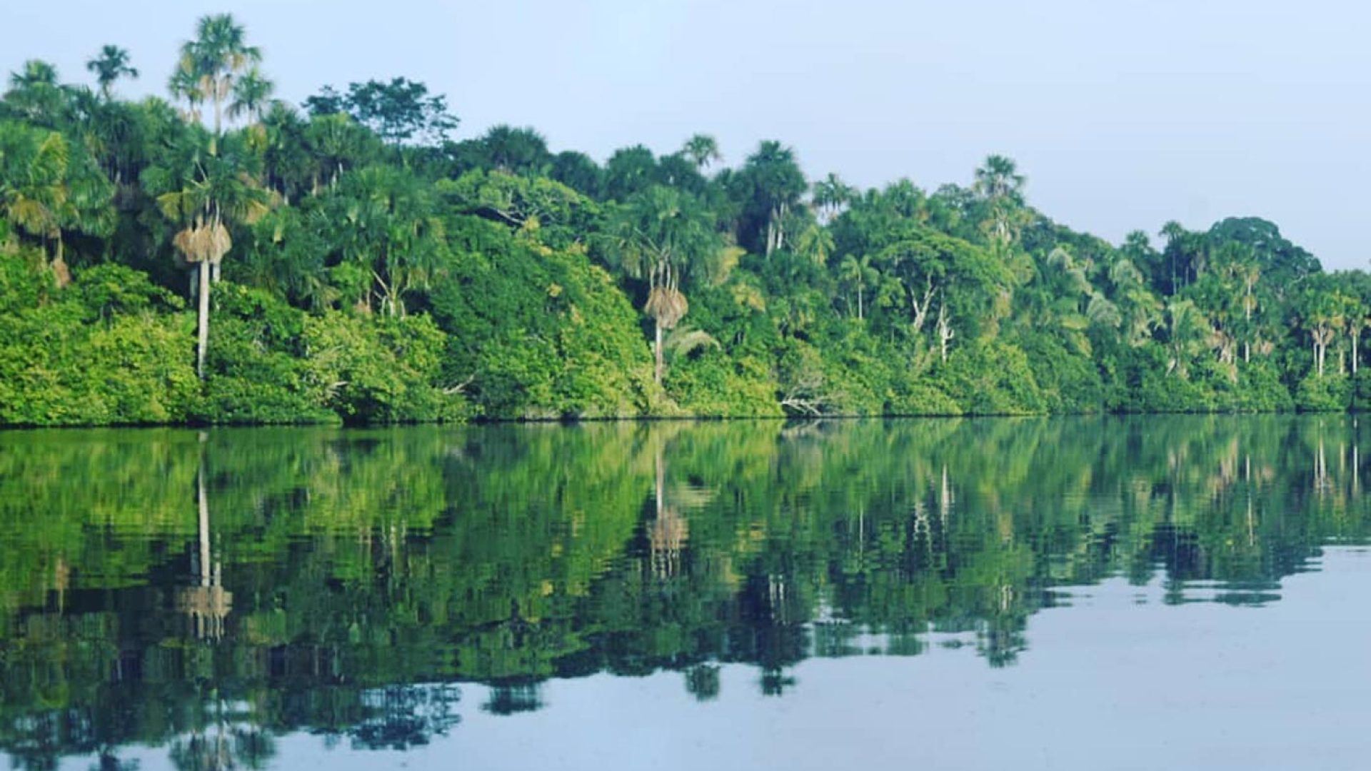 reserva-nacional-tambopata