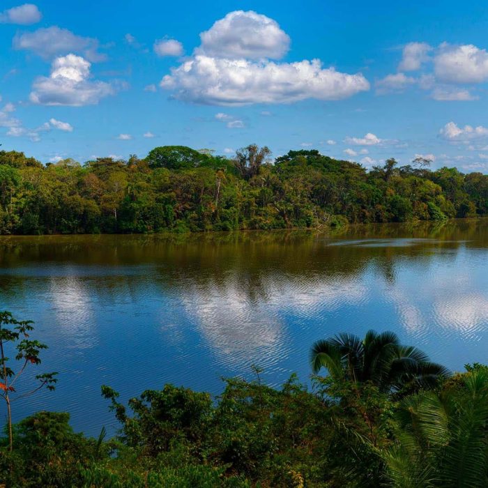 tambopata-2